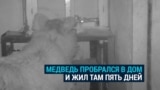 Медведь залез в дом егеря и устроил там погром, а егерь этому только рад