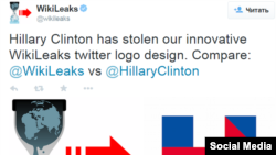 Wikileals says Hillary Clinton has stolen the logo