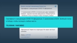 Как в Казахстане получают поддельные сертификаты о прививке